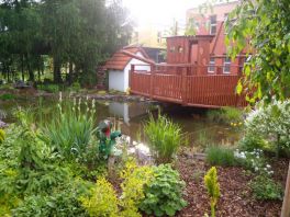 Okrasné jezírko v prostoru zahrady 55. mateřské školy v Plzni