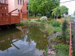 Okrasné jezírko v zahradě 55. mateřské školy v Plzni